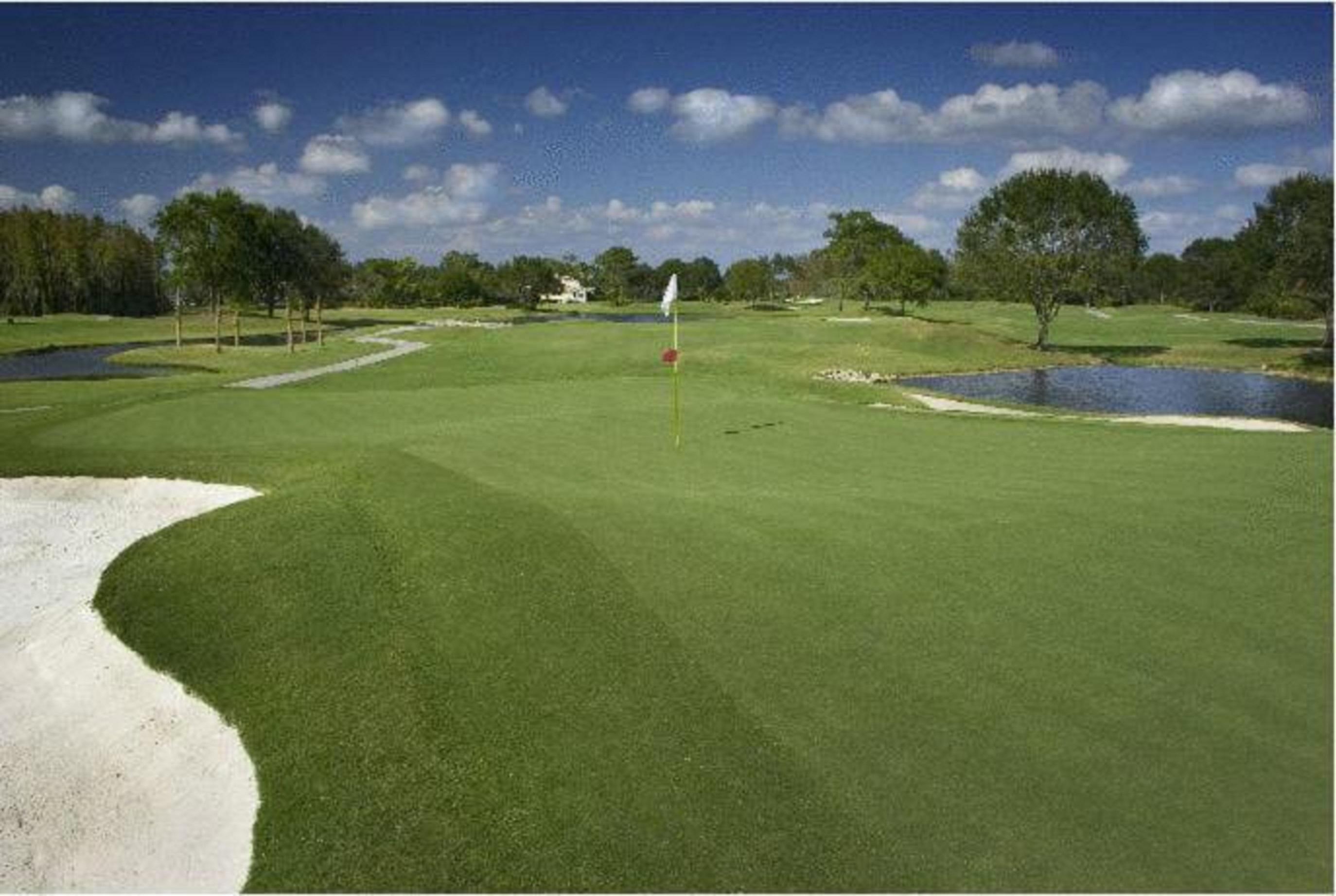 Saddlebrook Golf Resort & Spa Tampa North-Уесли Чапел Екстериор снимка