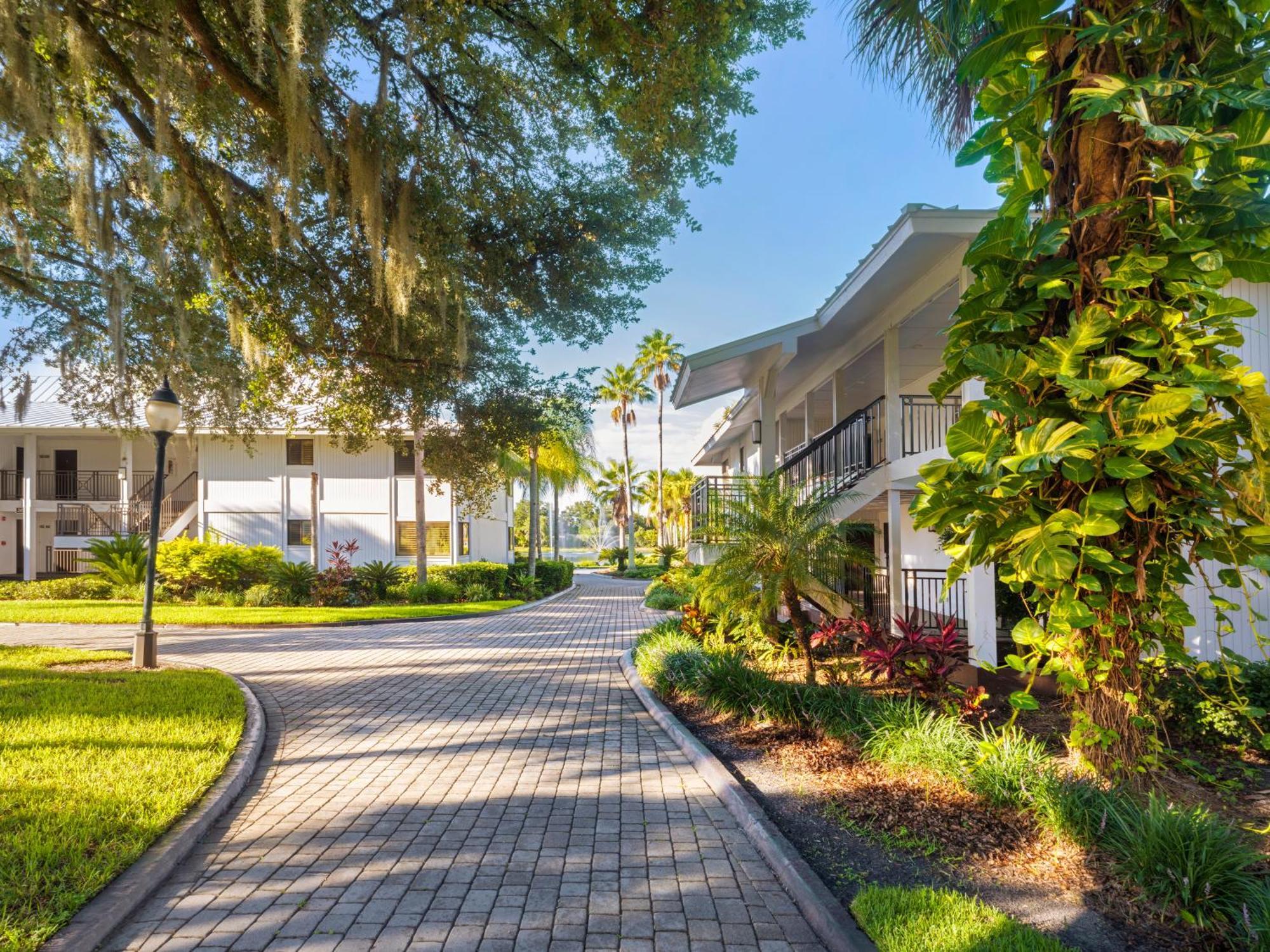 Saddlebrook Golf Resort & Spa Tampa North-Уесли Чапел Екстериор снимка