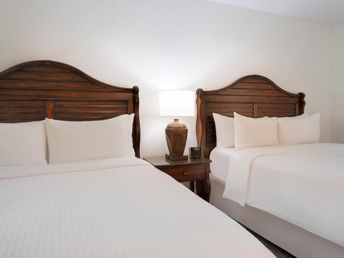 Saddlebrook Golf Resort & Spa Tampa North-Уесли Чапел Екстериор снимка